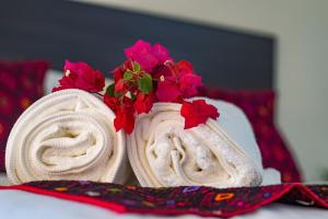 Foto dalla galleria di Hotel Maculís a Campeche