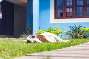 Ospiti di Hotel Maculís con animali domestici