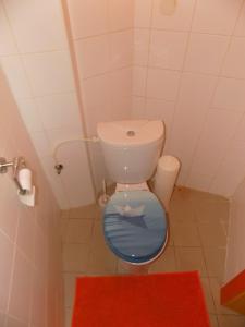 ein kleines Bad mit einem WC mit einem Fisch auf dem Sitz in der Unterkunft Apartmán Latrán 15 in Český Krumlov + 13 Fotos