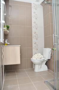 een badkamer met een toilet en een douche bij Dvori Apartments in Kopaonik +84 foto's