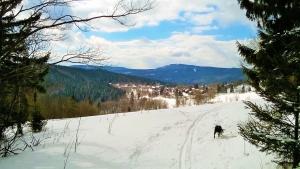 Příroda nedaleko apartmánu