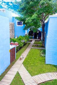 Fotografie z fotogalerie ubytování Hotel Maculís v destinaci Campeche + 36 fotografií