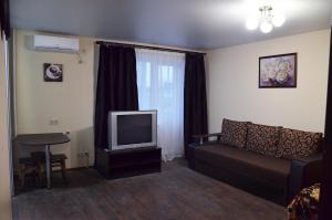 ドニプロにあるАппартаменты на Алексадра Поля 115のリビングルーム(ソファ、テレビ付)