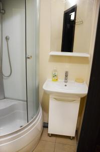 ドニプロにあるАппартаменты на Алексадра Поля 115の白いバスルーム(シャワー、シンク付)