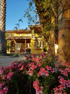 Taman di luar Hotel Posada Colchagua