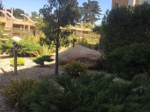 Gallery image of Departamento Pinares del Canelillo in Algarrobo