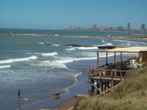 una persona y un perro en el agua en una playa en 1-1/2 AMB c/BALCON SOLEADO en EDIFICIO FRENTE AL MAR en Mar del Plata