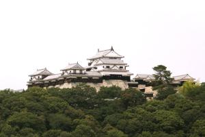 松山市にある天然温泉 石手の湯 ドーミーイン松山の木立の丘の上の建物