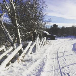 ein mit Schnee bedeckter Zaun neben einer Straße in der Unterkunft Rauland Hytteutleige in Rauland