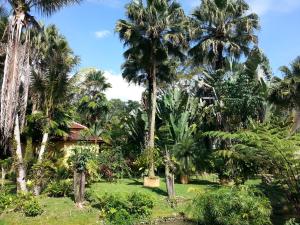 Seri Pengantin Resort, Kampung Janda Baik - Updated 2022 Prices
