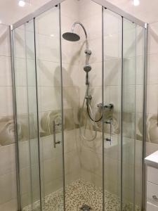 una doccia con porta in vetro in bagno di VIP Apartament in the center a Truskavec'