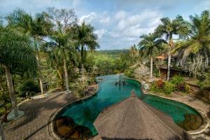
a river with palm trees and palm trees at The Payogan Villa Resort and Spa in Ubud
