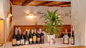 Gallery image of Gasthof Silbergasser Adults only in Brennero