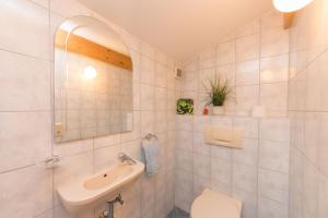 Kúpeľňa v ubytovaní Ferienhaus Hohenwarter
