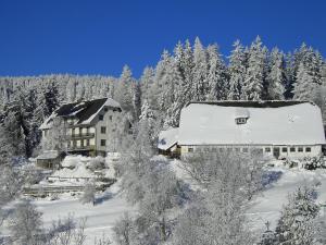 Urlaub am Bauernhof Grabenhofer during the winter