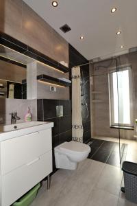 a bathroom with a toilet and a sink and a shower at Apartamenty Kosciuszki 8 in Zakopane