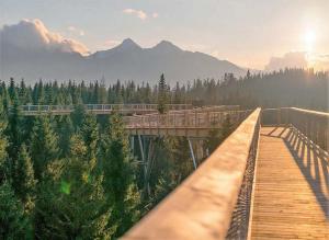 eine Brücke über einen Wald mit einem Zug darauf in der Unterkunft Apartmán B 101 Vysoké Tatry in Starý Smokovec
