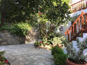 Gallery image of Casa Cozy in Mýkonos City