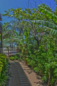 un jardín con árboles y un paseo. en Pousada da Encosta, en Garopaba