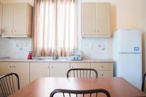 Kuchyň nebo kuchyňský kout v ubytování Manesi Apartments