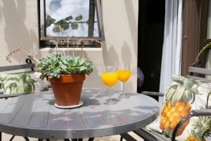 two glasses of orange juice and a plant on a table at 5 Konings Guesthouse in Paarl
