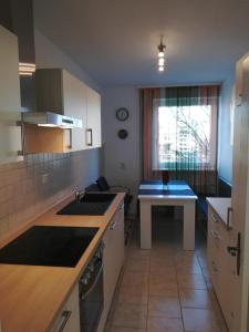 Køkken eller tekøkken på Ferien - und Messewohnung am Stadtpark + 10 billeder