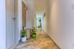 Fotografie z fotogalerie ubytování Apartment Adriano v destinaci Bol