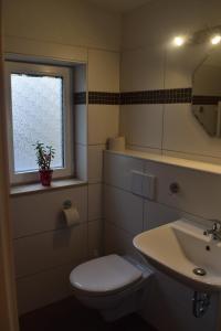 łazienka z toaletą, umywalką i oknem w obiekcie Ferienwohnung Seebachstr. w Dreźnie