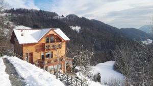 ein Blockhaus im Schnee auf einem Berg in der Unterkunft Hiška sprostitve in Vransko