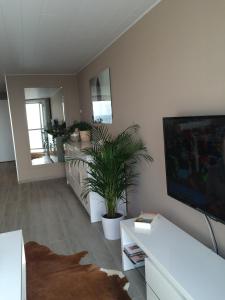 a living room with a tv and a plant at Zonnestraal 0302 in Nieuwpoort