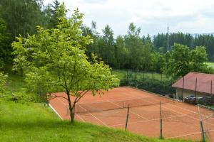 Tennistä tai squashia majoituspaikan Apartamenty Słoneczne Wzgórze alueella tai lähistöllä