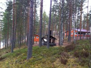 a cabin in the middle of a forest with trees at Kultajärvi Holiday Home in Rastinniemi