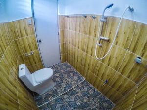 Roxas的住宿－大洋莊園賓館，一间带卫生间和淋浴的浴室