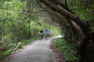 a group of people riding bikes down a dirt road at Orchid Trendy Cruise in Ha Long