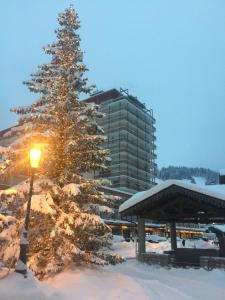 Gallery image of Apartment Anna in Courchevel
