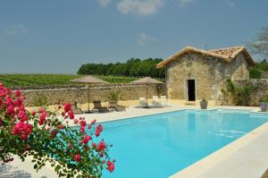 a villa with a swimming pool and a building at Chateau Carbonneau in Pessac-sur-Dordogne