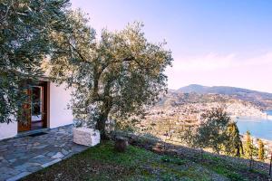 Gallery image of Villa Kalypso and Villa Kirki in Skopelos Town