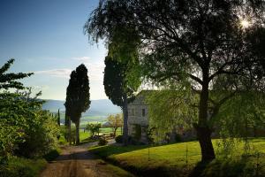 una casa su una collina con una strada sterrata e alberi di B&B Palazzolo La Foce a Chianciano Terme