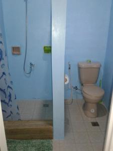 a bathroom with a toilet and a shower at Chelle's Guesthouse and Backpackers in Siquijor