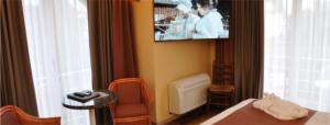 Televiisor ja/või meelelahutuskeskus majutusasutuses Hotel Approach