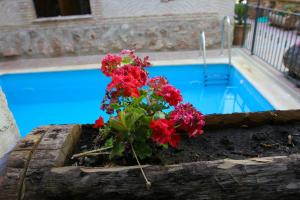 The swimming pool at or close to Casa Rural Capricho del Valle