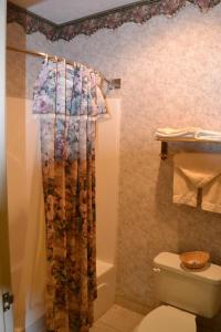 Ванна кімната в Countryside Suites Omaha