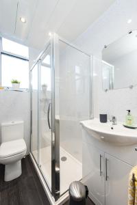 a bathroom with a shower and a toilet and a sink at The New Westfield in Edinburgh