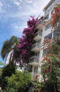 un edificio con flores púrpuras a su lado en Hotel Appel, en Santa Maria