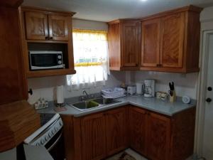 a kitchen with wooden cabinets and a sink and a microwave at Breezy Apts in Saint Philip