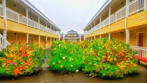 Zahrada ubytování GuestHouse Inn Enumclaw