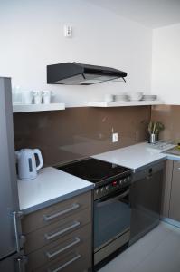 Kuchyň nebo kuchyňský kout v ubytování Apartament Izerski Klimat