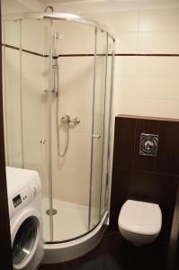 Kúpeľňa v ubytovaní Apartament Izerski Klimat