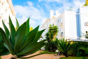 a plant in front of a white building at apto na Praia do Ingleses in Florianópolis