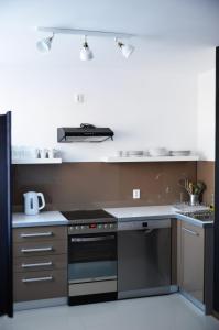 Kuchyň nebo kuchyňský kout v ubytování Apartament Izerski Klimat